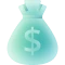 Money bag